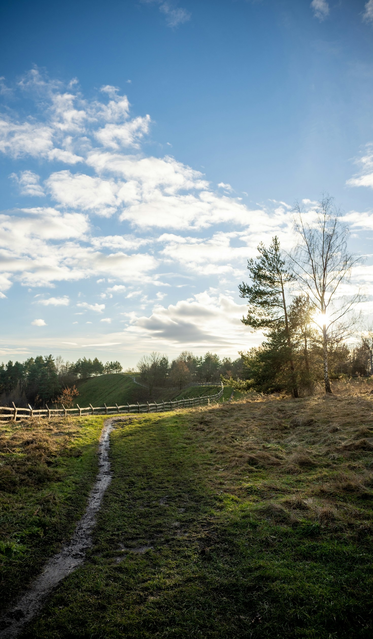 Odd Things That Happen When You Move to the Country