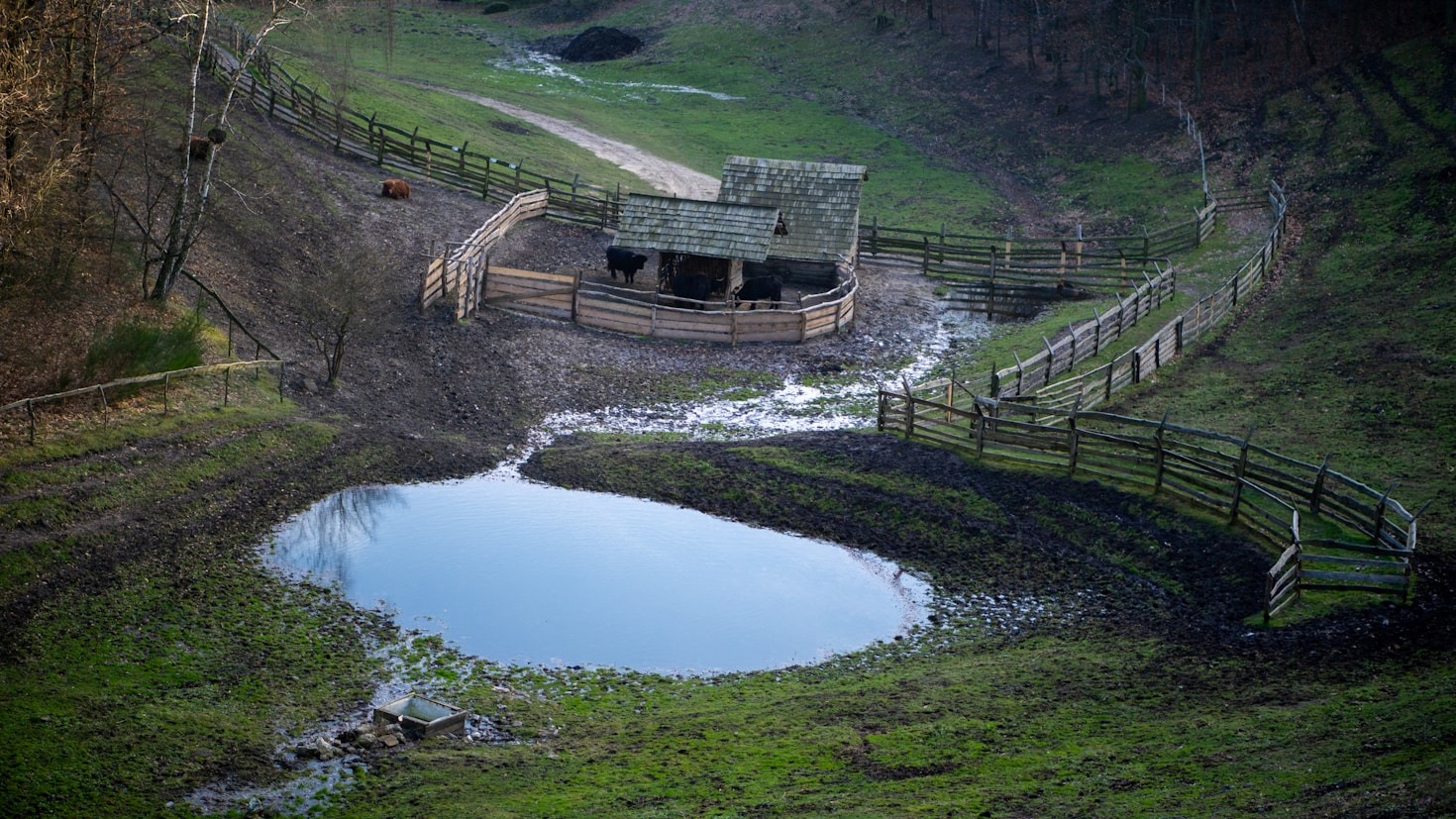A Mother’s Reflections on Rural Challenges